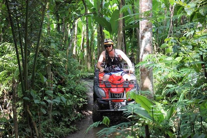ATV Tour with Monkey Forest Experience in Bali - Sangeh Monkey Forest and its giant pala trees