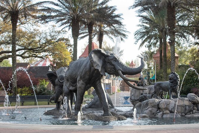 Audubon Zoo Ticket - Key points to know before you go