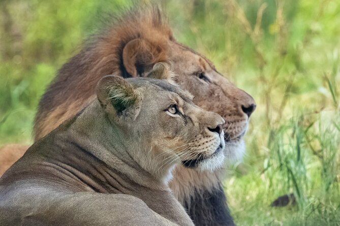 Audubon Zoo Ticket - Is $37.60 good value?