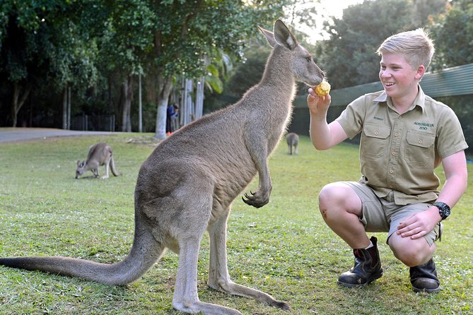 Australia Zoo Day Trip from Brisbane - Key points at a glance