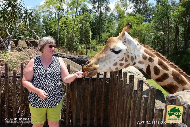 Australia Zoo Day Trip from Brisbane - Seeing Australia Zoo’s live shows