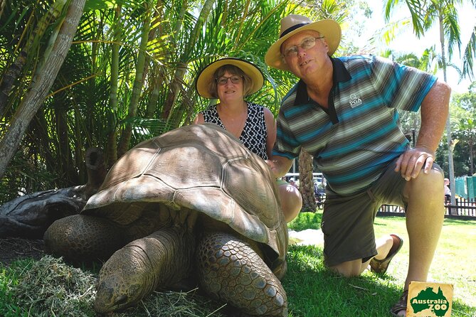 Australia Zoo Day Trip from Brisbane - Kangaroos, koalas, and the best early tip