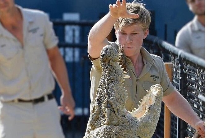 Australia Zoo Day Trip from Brisbane - Is the $128.39 price good value?