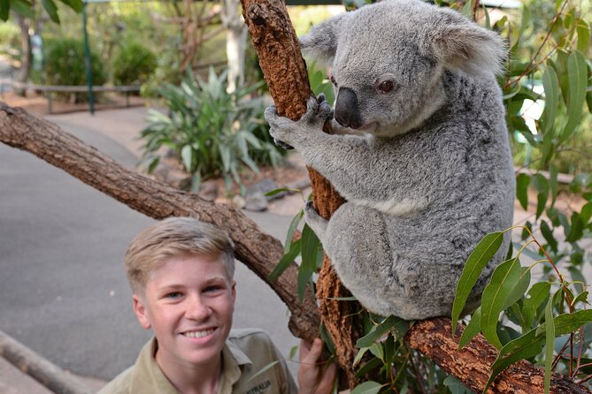 Australia Zoo Day Trip from Brisbane - Comfort, group size, and the return ride