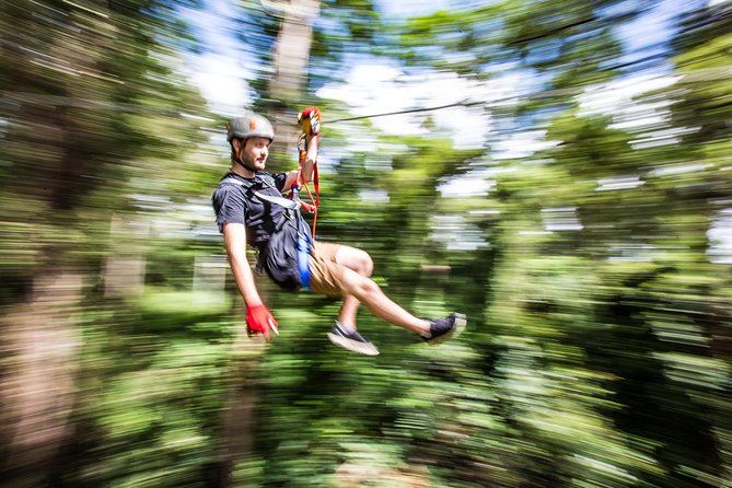 Australia Zoo Transfer from Noosa and Sunshine Coast - The crocodile show and koala talk