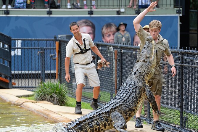 Australia Zoo Transfer from Noosa and Sunshine Coast - What the fixed 4pm departure means