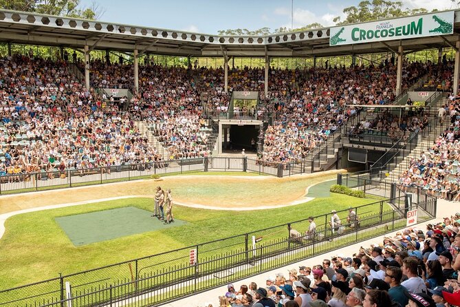 Australia Zoo Transfer from Noosa and Sunshine Coast - The 9am pickup from Noosa and the Sunshine Coast