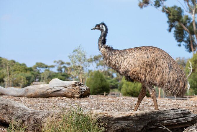 Australian Experience at Werribee Open Range Zoo - excl. entry - Planning your zoo day around the encounter