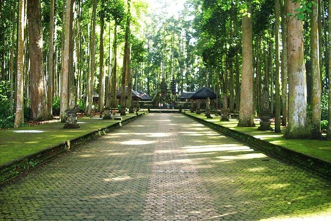 Bali ATV Combined with Mumbul Lake And Sangeh Monkey Forest - Who will enjoy this Bali excursion