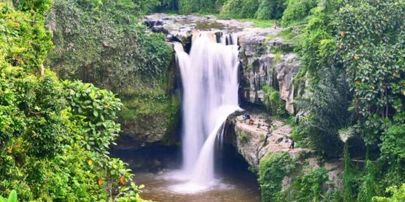 Bali: ATV Gorilla Cave, Ubud Monkey Forest, & Waterfall Tour - Should you book the Gorilla Cave ATV and waterfall tour?