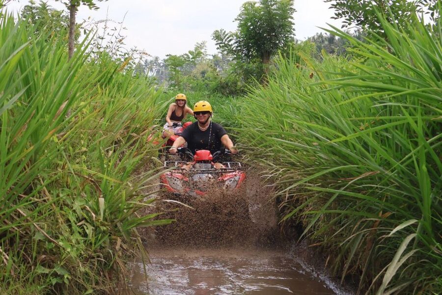 Bali: ATV Gorilla Cave, Ubud Monkey Forest, & Waterfall Tour - Meeting monkeys at Ubud Monkey Forest
