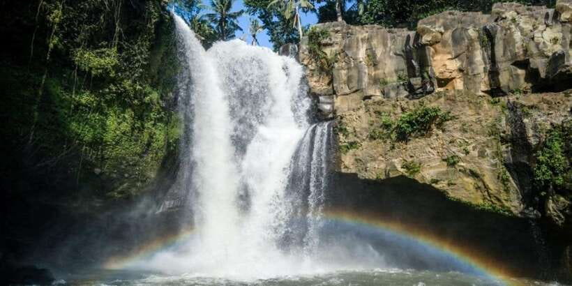 Bali: ATV Gorilla Cave, Ubud Monkey Forest, & Waterfall Tour - Who should book this experience?