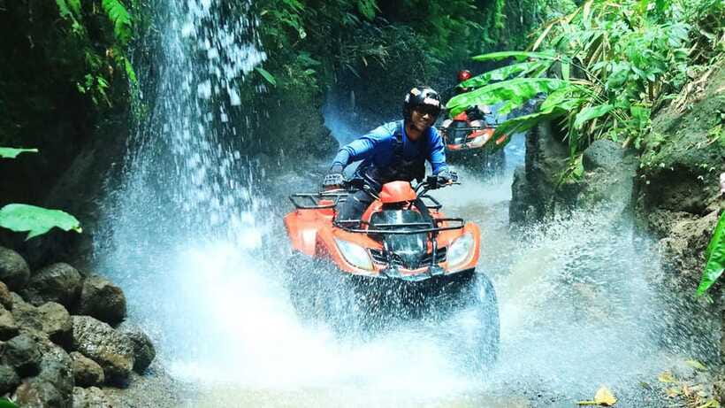 Bali: ATV Quad Bike, Monkey Forest, Jungle Swing with Lunch - Tegallalang and the rice terraces