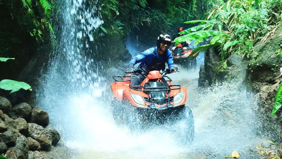 Bali: ATV Quad Bike, Monkey Forest, Jungle Swing with Lunch - Why the private car matters in Bali