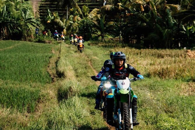 Bali ATV Quad Bike Ubud Swing & Monkey Forest All Inclusive - Who Should Book This Ubud Day Trip