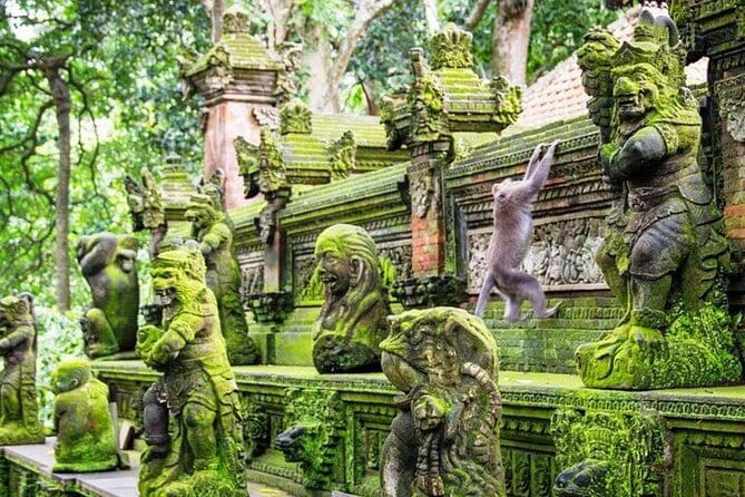 Bali ATV Quad Bike Ubud Swing & Monkey Forest All Inclusive - Lunch, Showers, and the Practical Payoff