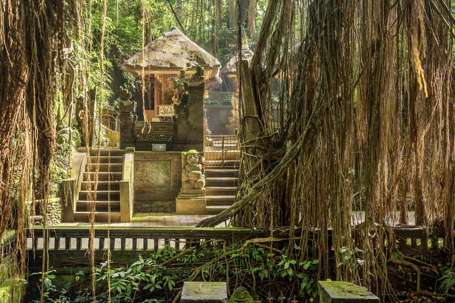 Bali: ATV, Water Rafting, and Monkey Forest Tour - Should you book this tour?