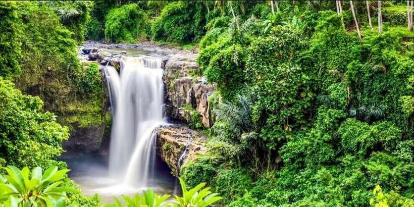 Bali: Bali Swing, Monkey Forest, Rice Terrace, Waterfall - Tegenungan Waterfall closes the sightseeing loop