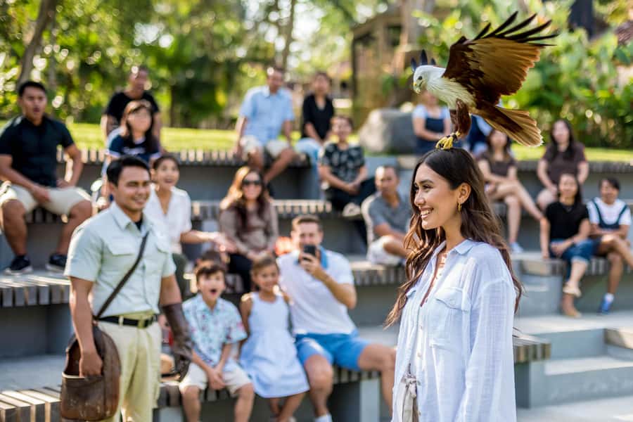 Bali Bird Park 1-Day Admission Ticket - A full day among birds from four continents