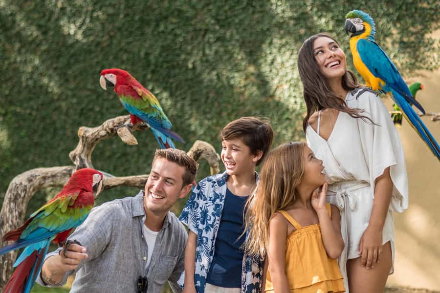 Bali Bird Park 1-Day Admission Ticket - The Bali Rainforest free-flight shows at 10:30 and 16:00