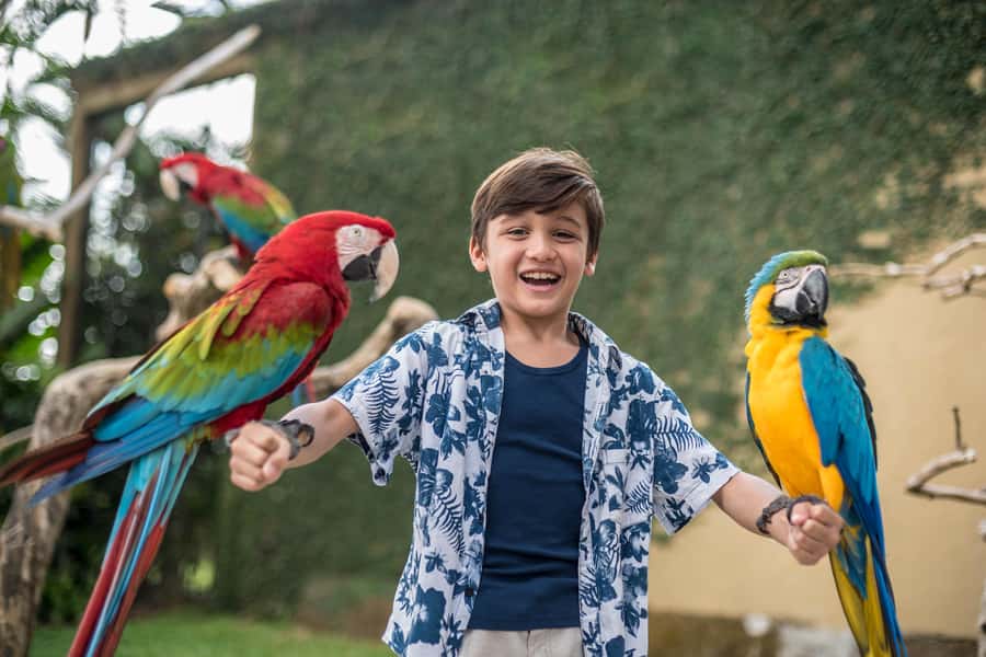 Bali Bird Park 1-Day Admission Ticket - Add the Komodo Experience, but check what you want included