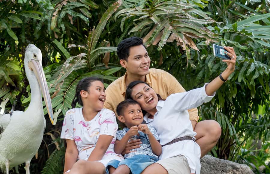 Bali Bird Park 1-Day Admission Ticket - How to plan your day without rushing