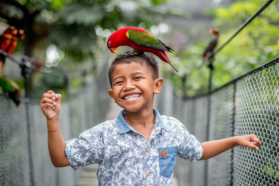 Bali Bird Park: 1-Day Admission Ticket - Planning around the feeding schedule