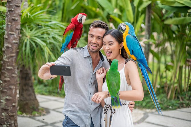 Bali Bird Park Admission Ticket - The 10:30am and 4pm Rain Forest Free Flight Bird Show