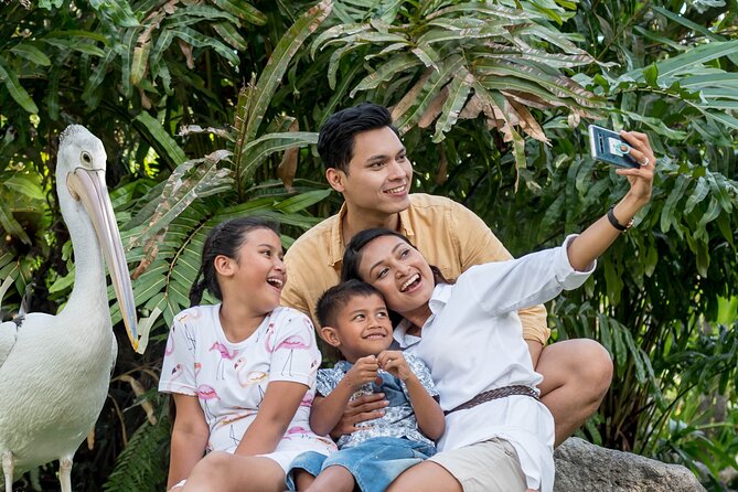 Bali Bird Park Admission Ticket - Timing your visit around the shows