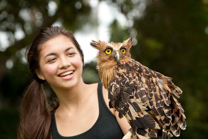 Bali Bird Park Admission Ticket with Hotel Transfer - Entering the park and finding your own route