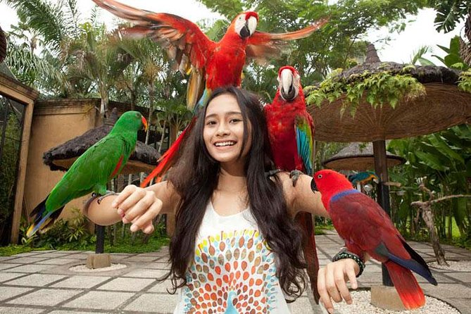 Bali Bird Park Admission Ticket with Hotel Transfer - Is $38 a fair price?