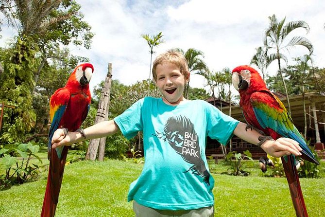 Bali Bird Park Admission Ticket with Hotel Transfer - Food, comfort, and practical limits