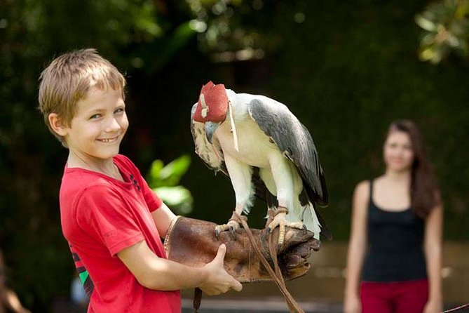 Bali Bird Park Admission Ticket with Hotel Transfer - The bird collection: from macaws to the rare Tiung bird