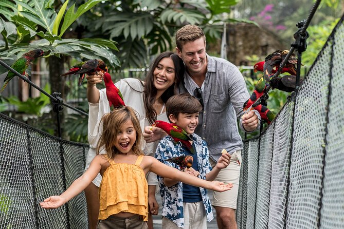 Bali Bird Park Admission Ticket - Feeding lorikeets, pelicans, and young birds