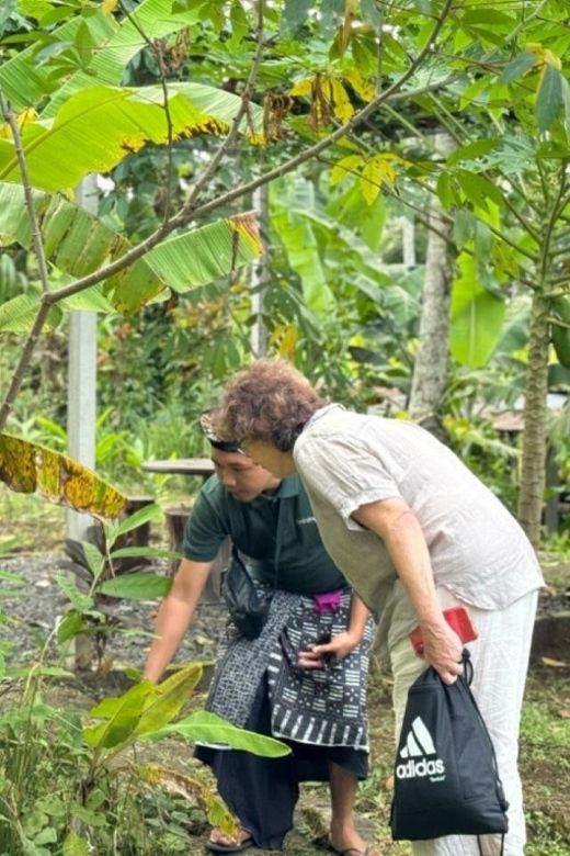 Bali: Cooking Class with Monkey Forest and Art Village Tour - Transport, pickup areas, and the eight-hour pace