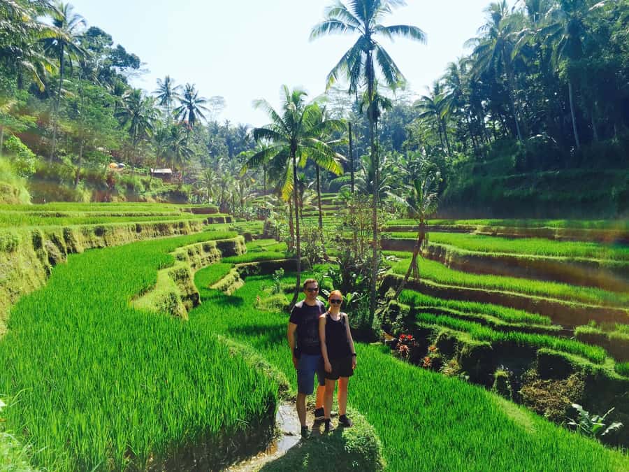 Bali: Leke-Leke Waterfall, Monkey Forest & Jungle Swing Tour - Why this combination works for one day