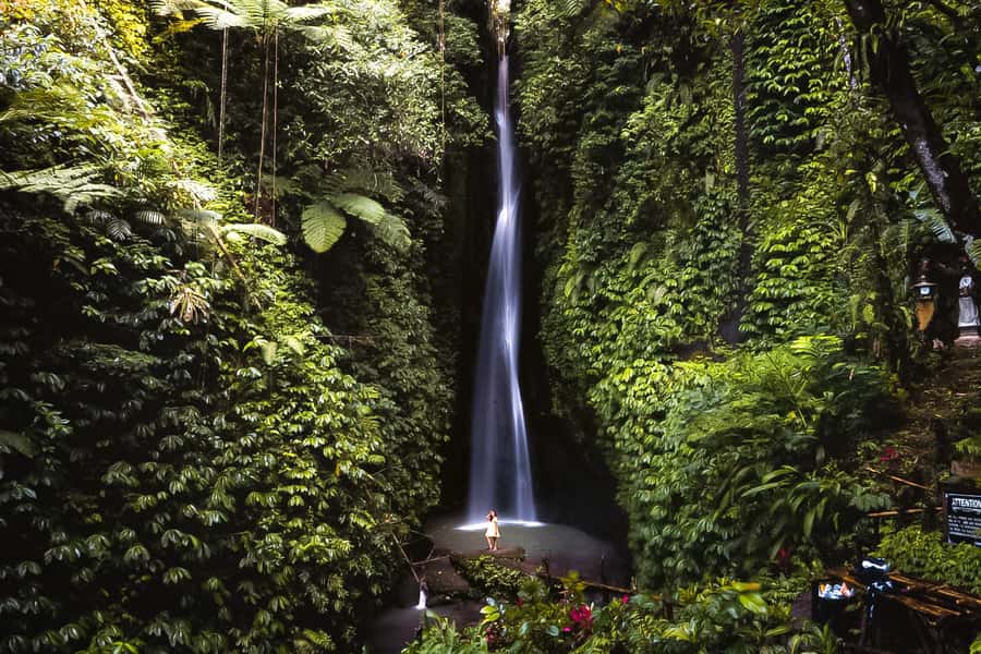 Bali: Leke-Leke Waterfall, Monkey Forest & Jungle Swing Tour - Sacred Monkey Forest, temples, and macaque manners