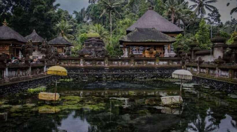 Bali: monkey forest, rice terrace, water temple, waterfall - Practical Booking Advice Before You Go