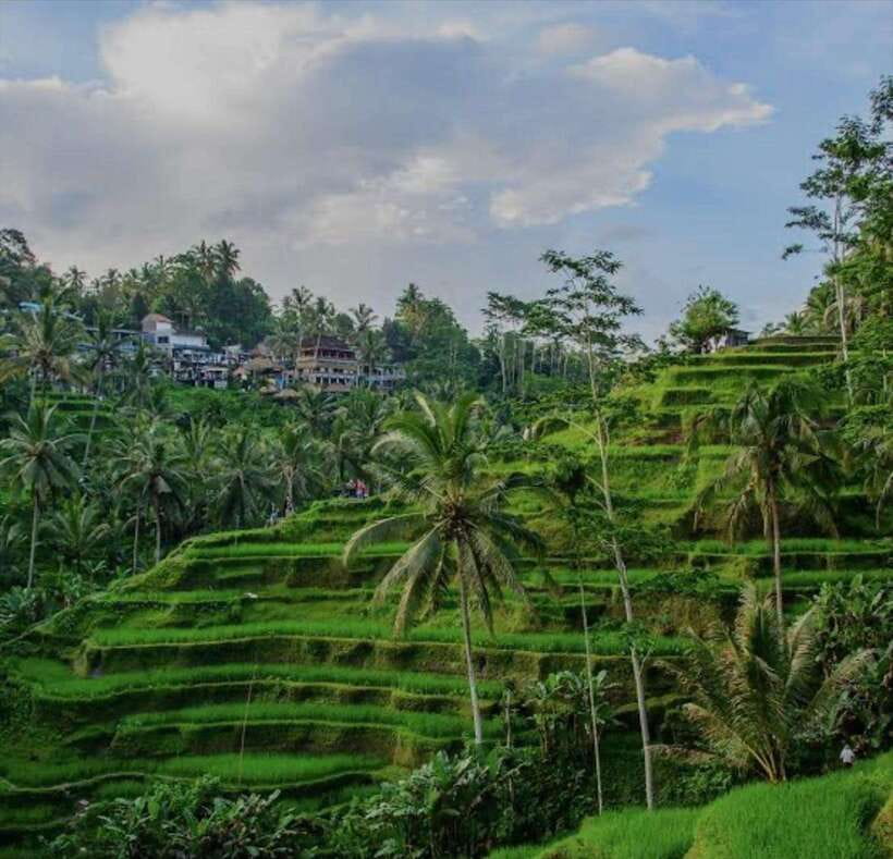 Bali: monkey forest, rice terrace, water temple, waterfall - Meeting Your Guide and Leaving the Hotel