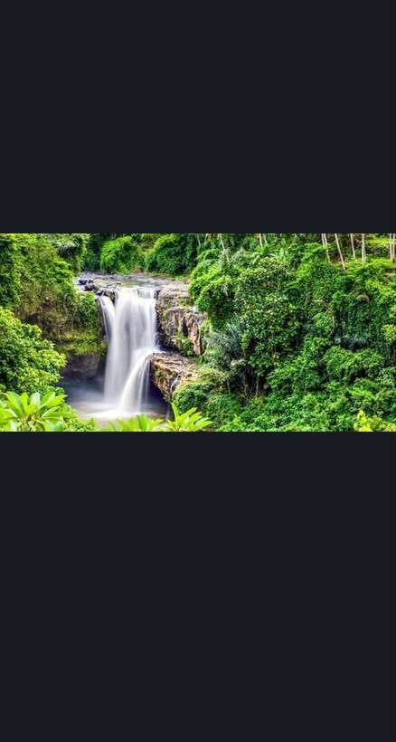 Bali: monkey forest, rice terrace, water temple, waterfall - Traditional Coffee and Tea Tasting