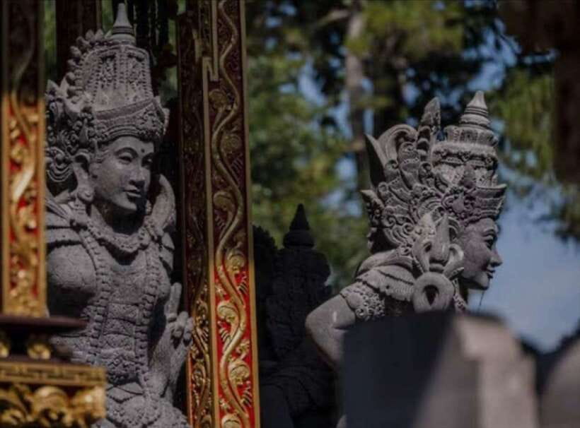 Bali: monkey forest, rice terrace, water temple, waterfall - What the $25 Price Really Gives You