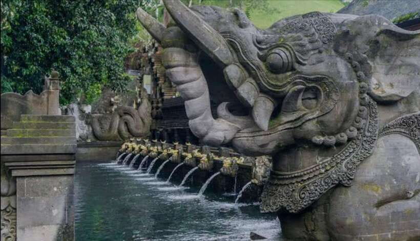 Bali: monkey forest, rice terrace, water temple, waterfall - Who Should Book This Bali Excursion?