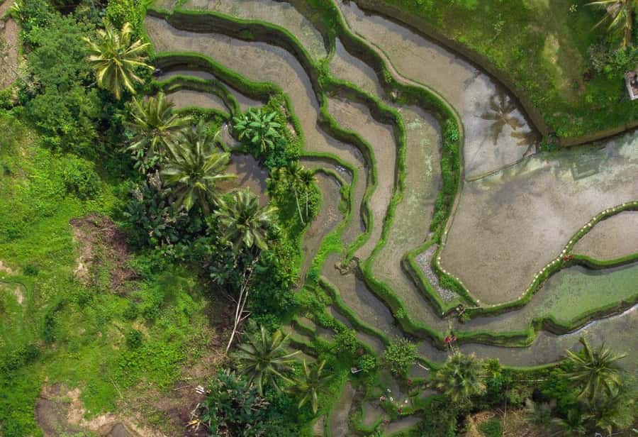 Bali: Monkey Forest, Tegalalang, Uluwatu & Kecak Dance Tour - Uluwatu Temple above the Indian Ocean