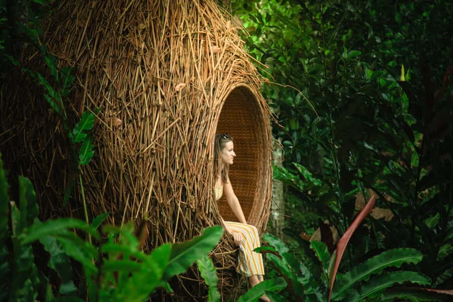 Bali: Monkey Forest, Tegalalang, Uluwatu & Kecak Dance Tour - Who should book this Bali tour?