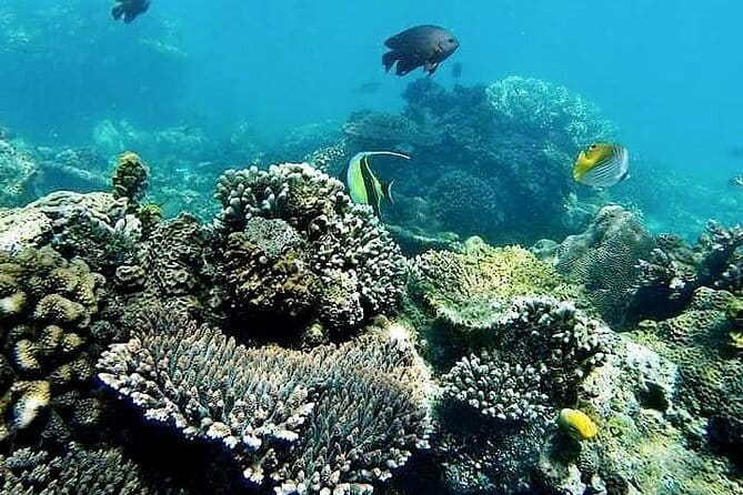 Bali Private Tour: Waterfall, Monkey forest and Tanah lot sunset - Ubud Palace and Art Market: a compact cultural stop