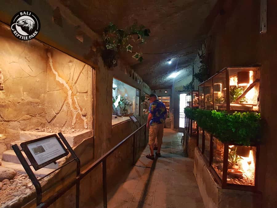 Bali Reptile Park 1-Day Admission Ticket - Holding Reptiles Under Staff Supervision
