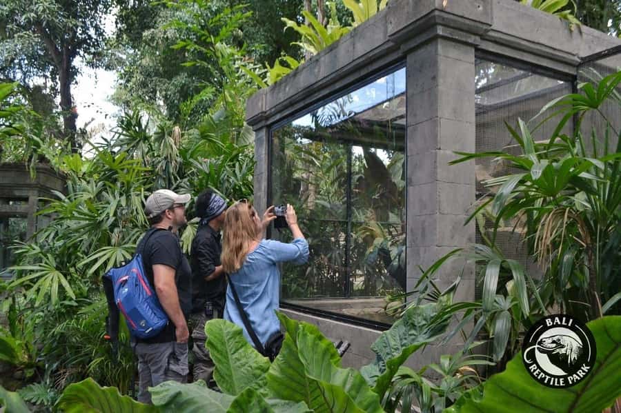 Bali Reptile Park 1-Day Admission Ticket - Turtles and Tortoises by the Ponds