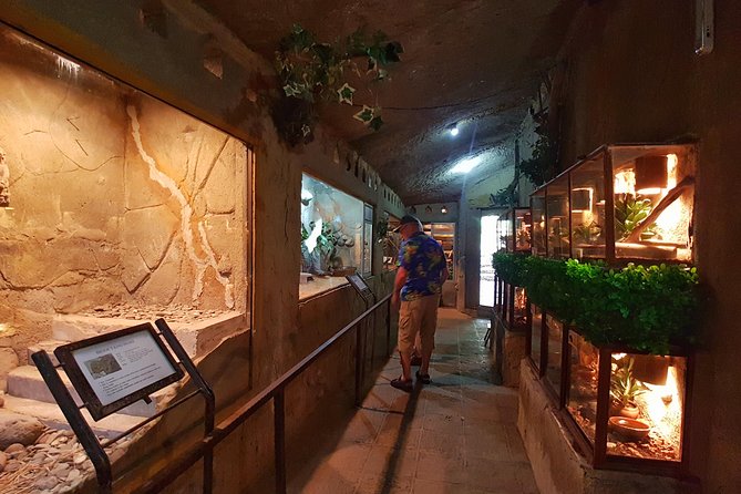 Bali Reptile Park Entrance Ticket - Crocodiles, reptile shows, and the park’s livelier moments