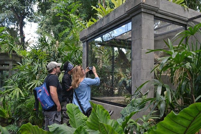 Bali Reptile Park Entrance Ticket - Is $15.27 a fair price?