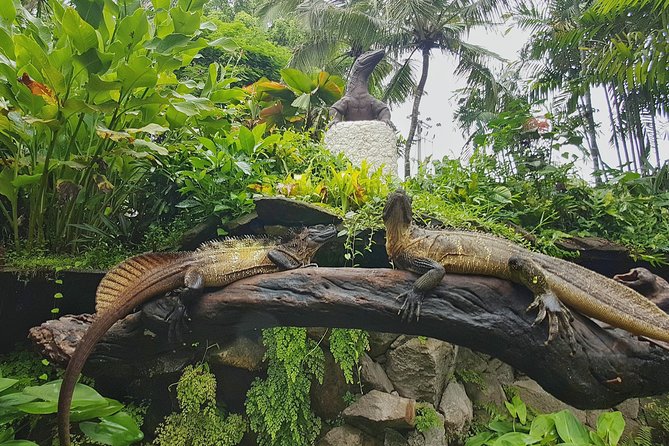 Bali Reptile Park Entrance Ticket - Who will enjoy this most